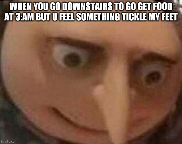 gru meme | WHEN YOU GO DOWNSTAIRS TO GO GET FOOD AT 3:AM BUT U FEEL SOMETHING TICKLE MY FEET | image tagged in gru meme | made w/ Imgflip meme maker
