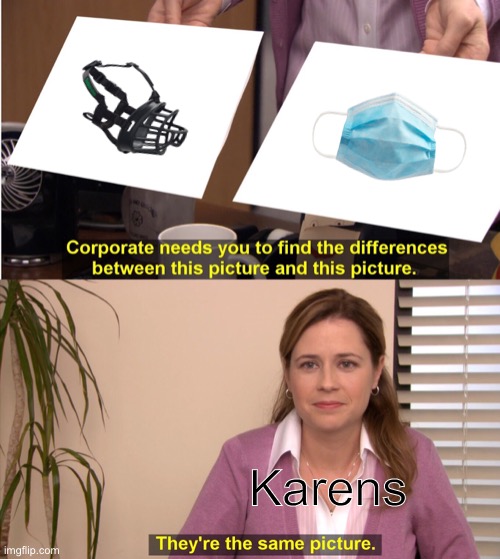 They're The Same Picture Meme | Karens | image tagged in memes,they're the same picture | made w/ Imgflip meme maker