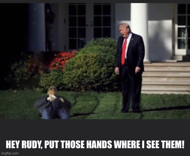 Rudy Giuliani caught in compromising position! | HEY RUDY, PUT THOSE HANDS WHERE I SEE THEM! | image tagged in rudy giuliani,donald trump,borat,pervert,deplorable,masterbation | made w/ Imgflip meme maker