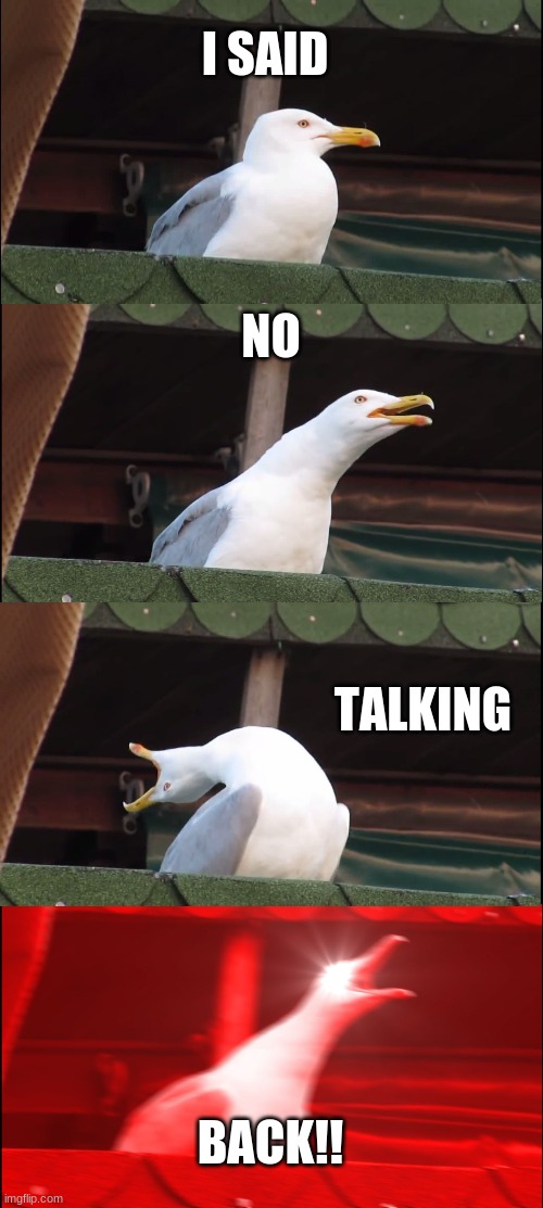 when making point in a argument with your mom | I SAID; NO; TALKING; BACK!! | image tagged in memes,inhaling seagull | made w/ Imgflip meme maker