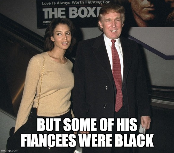 Racist fail | BUT SOME OF HIS FIANCEES WERE BLACK | image tagged in racist fail | made w/ Imgflip meme maker