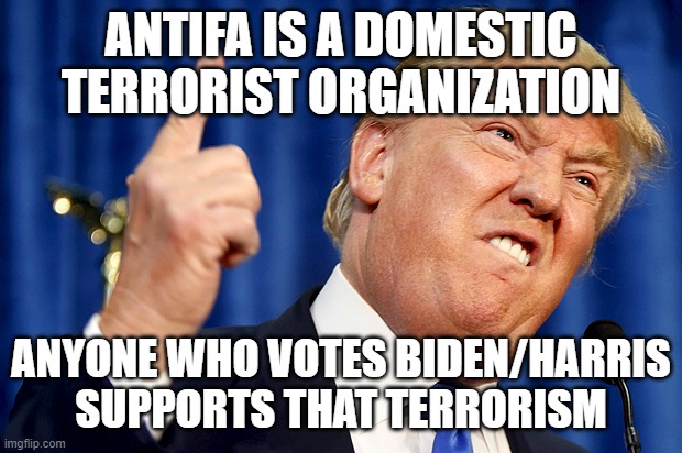Donald Trump | ANTIFA IS A DOMESTIC TERRORIST ORGANIZATION; ANYONE WHO VOTES BIDEN/HARRIS SUPPORTS THAT TERRORISM | image tagged in donald trump | made w/ Imgflip meme maker