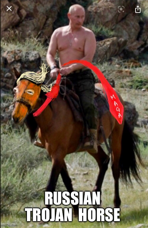 Russian Don | RUSSIAN  TROJAN  HORSE | image tagged in donald trump,trump russia collusion,trump putin,vote him out,trump is russian puppet | made w/ Imgflip meme maker
