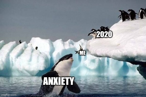 Killer whale | 2020; ME; ANXIETY | image tagged in killer whale | made w/ Imgflip meme maker