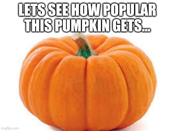 E | LETS SEE HOW POPULAR THIS PUMPKIN GETS... | image tagged in e | made w/ Imgflip meme maker