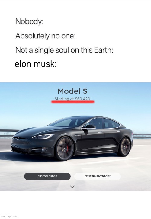 I just noticed Lmao | _____; elon musk: | image tagged in nobody absolutely no one,elon musk,tesla | made w/ Imgflip meme maker