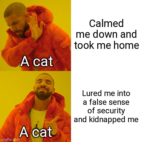 The way cats see things | Calmed me down and took me home; A cat; Lured me into a false sense of security and kidnapped me; A cat | image tagged in memes,drake hotline bling | made w/ Imgflip meme maker