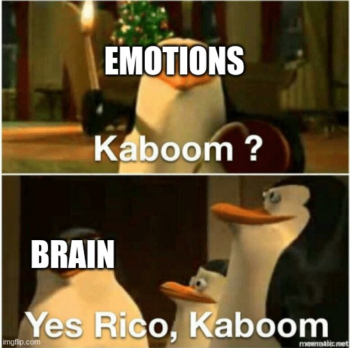 mood swings be like | EMOTIONS; BRAIN | image tagged in kaboom yes rico kaboom | made w/ Imgflip meme maker