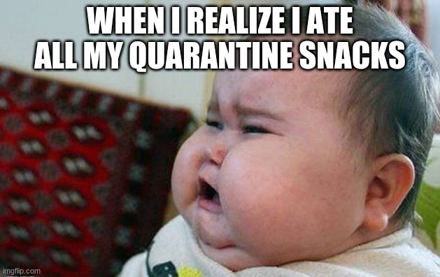 so true | WHEN I REALIZE I ATE ALL MY QUARANTINE SNACKS | image tagged in yo mamas so fat | made w/ Imgflip meme maker