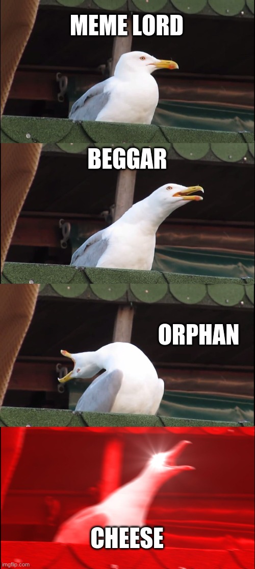 Inhaling Seagull Meme | MEME LORD BEGGAR ORPHAN CHEESE | image tagged in memes,inhaling seagull | made w/ Imgflip meme maker