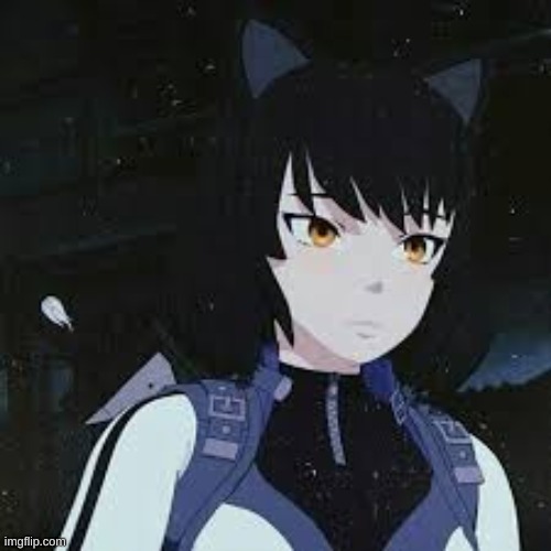 RWBY Blake | image tagged in rwby blake | made w/ Imgflip meme maker