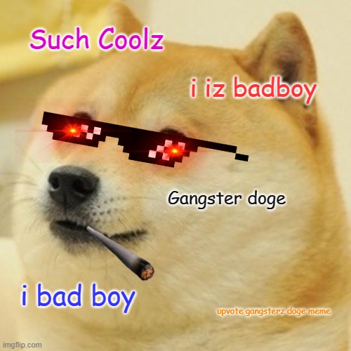 Doge | Such Coolz; i iz badboy; Gangster doge; i bad boy; upvote gangsterz doge meme | image tagged in memes,doge | made w/ Imgflip meme maker