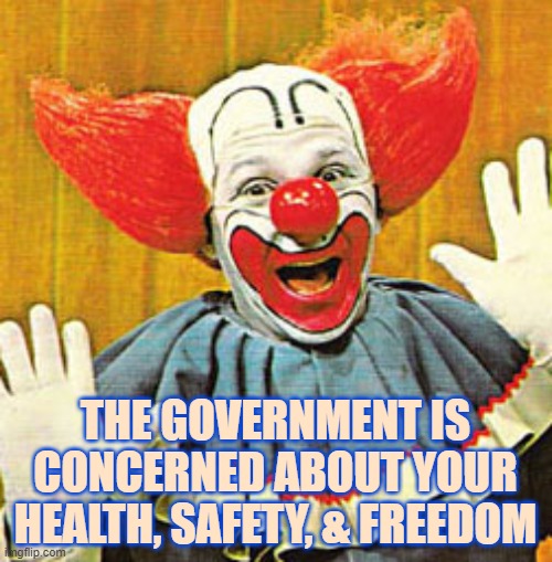 Bozo The Clown v001 | THE GOVERNMENT IS CONCERNED ABOUT YOUR HEALTH, SAFETY, & FREEDOM | image tagged in bozo the clown v001 | made w/ Imgflip meme maker