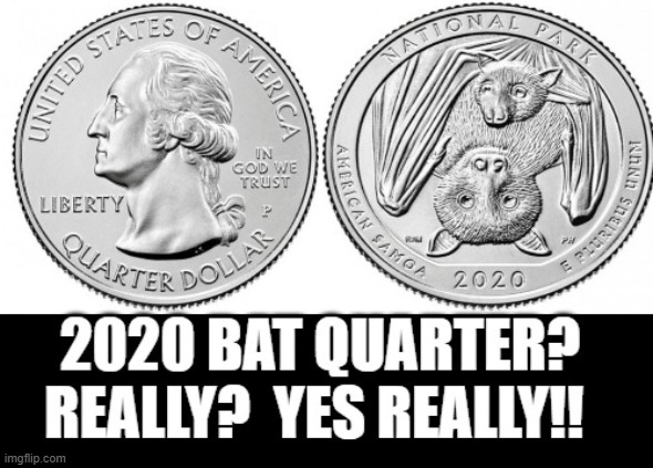 2020 Bat Quarter? Really? Yes Really! | image tagged in coronavirus | made w/ Imgflip meme maker