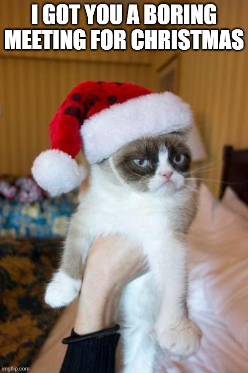 Grumpy Cat for the holidays | I GOT YOU A BORING MEETING FOR CHRISTMAS | image tagged in memes,grumpy cat christmas,grumpy cat | made w/ Imgflip meme maker