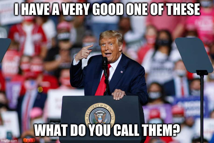 I don't know sir, a spray-tan? | I HAVE A VERY GOOD ONE OF THESE; WHAT DO YOU CALL THEM? | image tagged in trump,humor | made w/ Imgflip meme maker