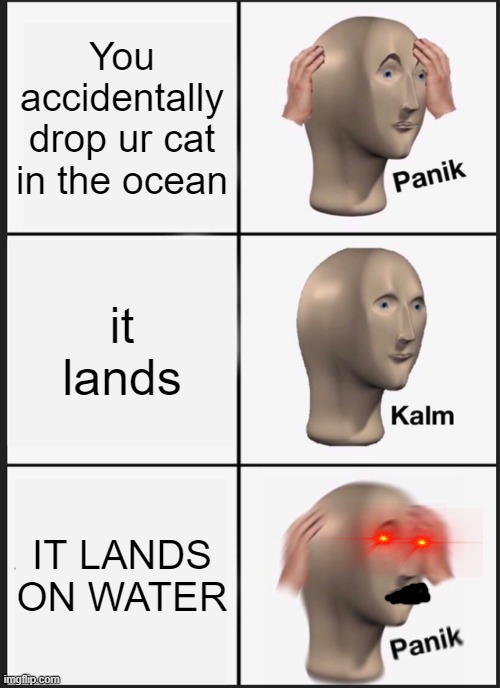 Cat on water | You accidentally drop ur cat in the ocean; it lands; IT LANDS ON WATER | image tagged in memes,panik kalm panik | made w/ Imgflip meme maker