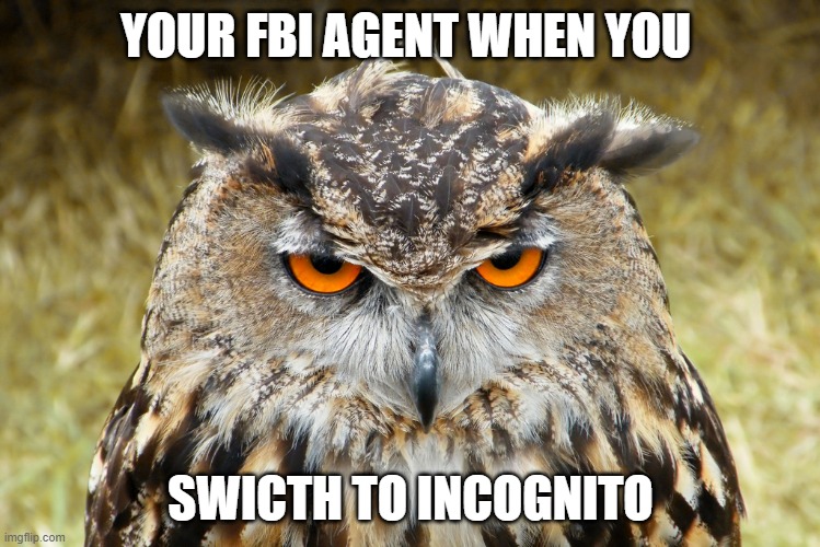 memes i watch when im the imposter | YOUR FBI AGENT WHEN YOU; SWICTH TO INCOGNITO | image tagged in really nigguh | made w/ Imgflip meme maker