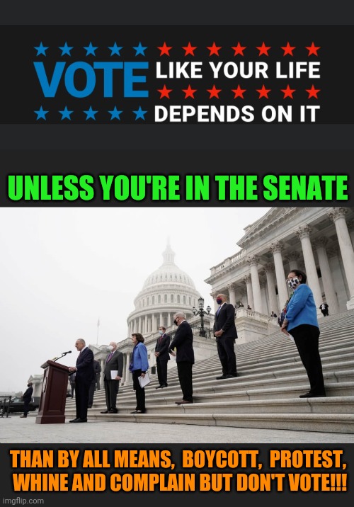 Do as we say,  not as we do. | UNLESS YOU'RE IN THE SENATE; THAN BY ALL MEANS,  BOYCOTT,  PROTEST,  WHINE AND COMPLAIN BUT DON'T VOTE!!! | image tagged in scotus | made w/ Imgflip meme maker