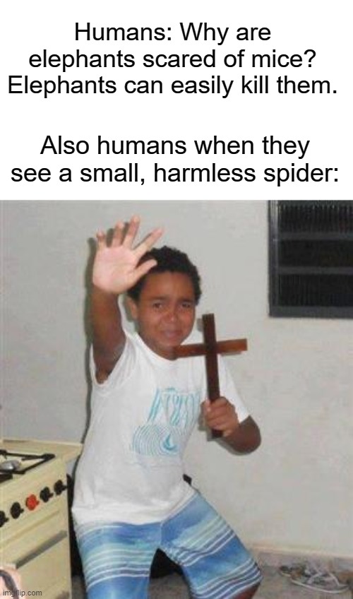 Sometimes I'm not scared of them and sometimes I am | Humans: Why are elephants scared of mice? Elephants can easily kill them. Also humans when they see a small, harmless spider: | image tagged in scared kid | made w/ Imgflip meme maker
