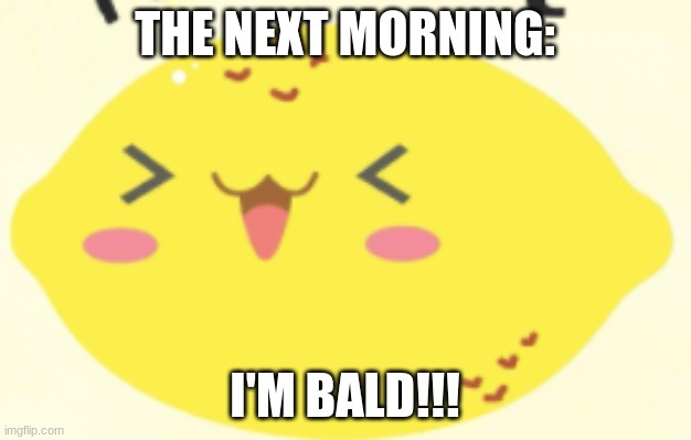 THE NEXT MORNING:; I'M BALD!!! | image tagged in lol so funny,funny memes,funny | made w/ Imgflip meme maker