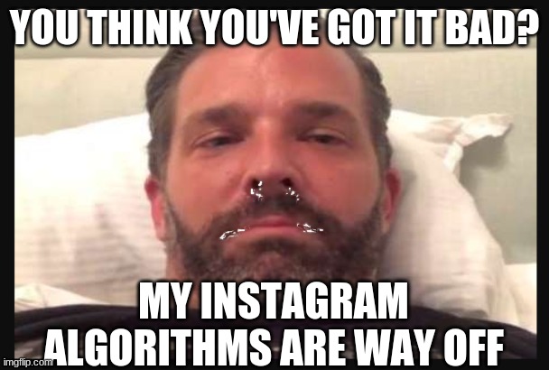 Triggered at 12am | YOU THINK YOU'VE GOT IT BAD? MY INSTAGRAM ALGORITHMS ARE WAY OFF | image tagged in trump jr | made w/ Imgflip meme maker