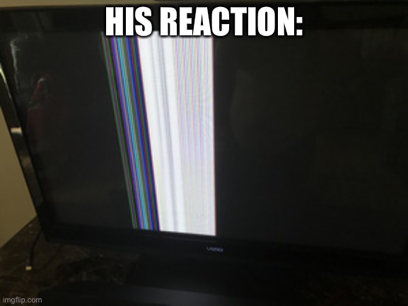 Broken TV Screen | HIS REACTION: | image tagged in broken tv screen | made w/ Imgflip meme maker