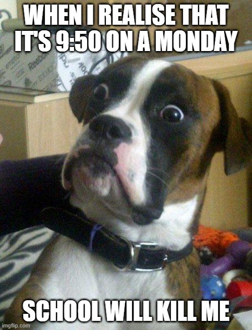 lol | WHEN I REALISE THAT IT'S 9:50 ON A MONDAY; SCHOOL WILL KILL ME | image tagged in blankie the shocked dog,i am late | made w/ Imgflip meme maker