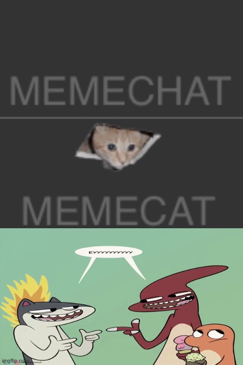 méme cāt | image tagged in pokemon eyyyyy | made w/ Imgflip meme maker