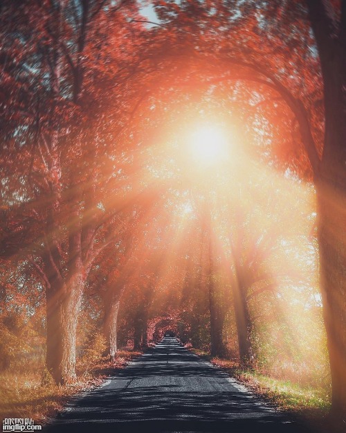 Sunlight | image tagged in sunlight | made w/ Imgflip meme maker