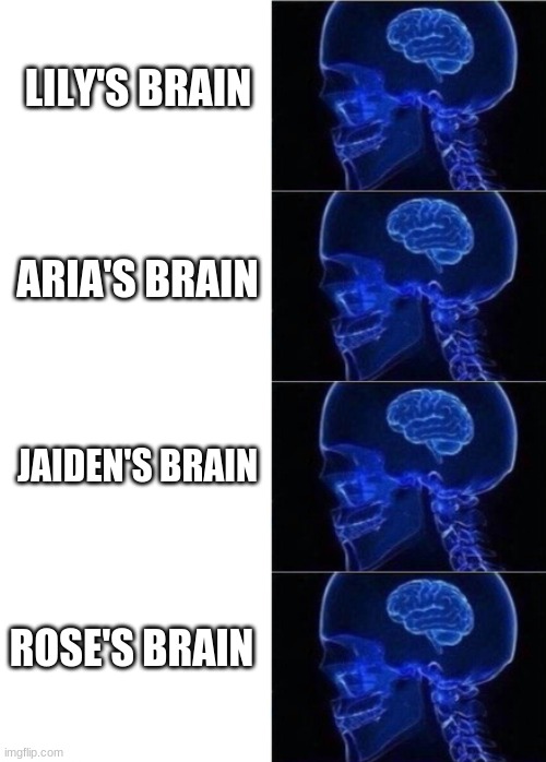 *insert lenny face* | LILY'S BRAIN; ARIA'S BRAIN; JAIDEN'S BRAIN; ROSE'S BRAIN | image tagged in idk | made w/ Imgflip meme maker