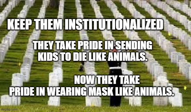 Military Cemetary | KEEP THEM INSTITUTIONALIZED; THEY TAKE PRIDE IN SENDING KIDS TO DIE LIKE ANIMALS.
                                              NOW THEY TAKE PRIDE IN WEARING MASK LIKE ANIMALS. | image tagged in military cemetary | made w/ Imgflip meme maker