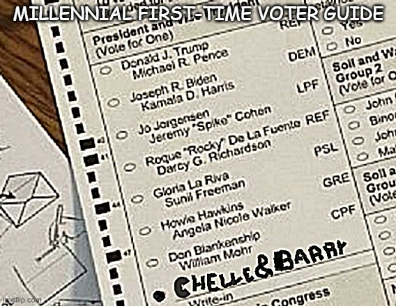 Ballot instructions for Millennials Blank Meme Template