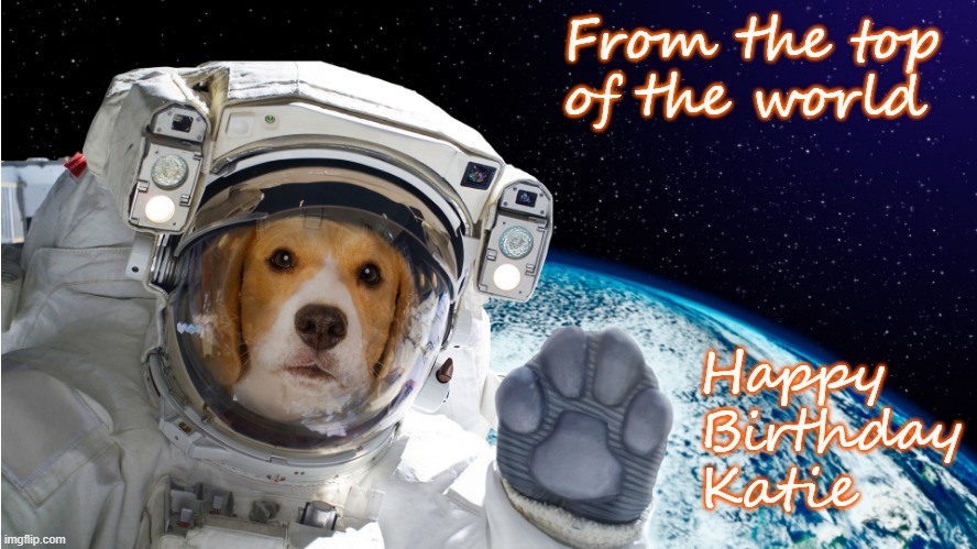 Birthday | From the top 
of the world; Happy 
Birthday
Katie | image tagged in space jam | made w/ Imgflip meme maker