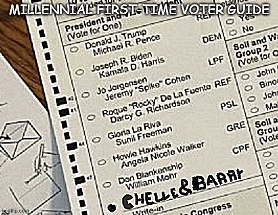 Ballot instructions for Millennials | image tagged in ballot instructions for millennials | made w/ Imgflip meme maker