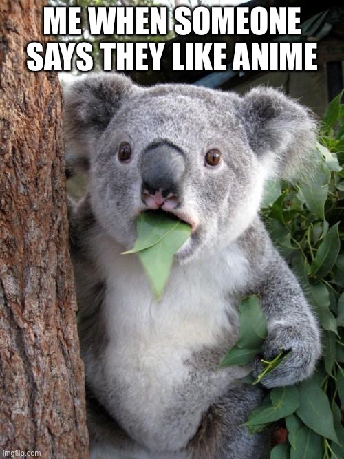 Surprised Koala Meme | ME WHEN SOMEONE SAYS THEY LIKE ANIME | image tagged in memes,surprised koala | made w/ Imgflip meme maker