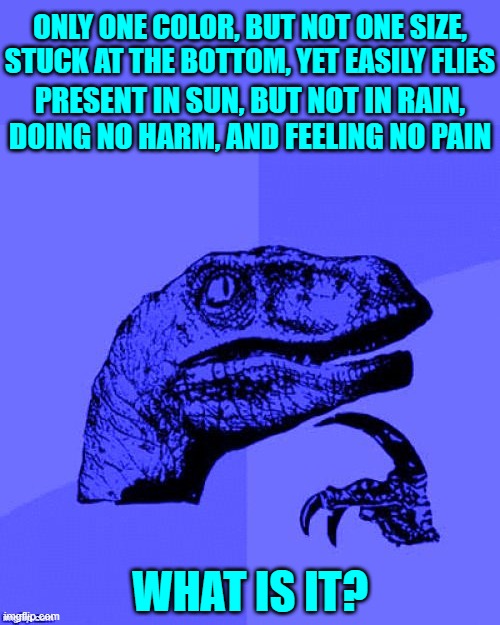 RIDDLE | ONLY ONE COLOR, BUT NOT ONE SIZE,
STUCK AT THE BOTTOM, YET EASILY FLIES; PRESENT IN SUN, BUT NOT IN RAIN,
DOING NO HARM, AND FEELING NO PAIN; WHAT IS IT? | image tagged in philosoraptor blue craziness,memes,riddles and brainteasers | made w/ Imgflip meme maker