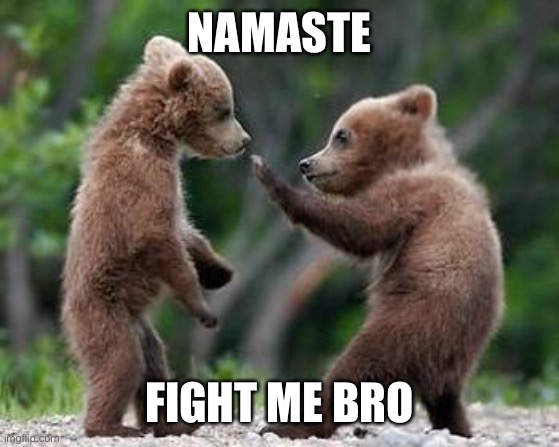 ninja bears | NAMASTE; FIGHT ME BRO | image tagged in ninja bears | made w/ Imgflip meme maker