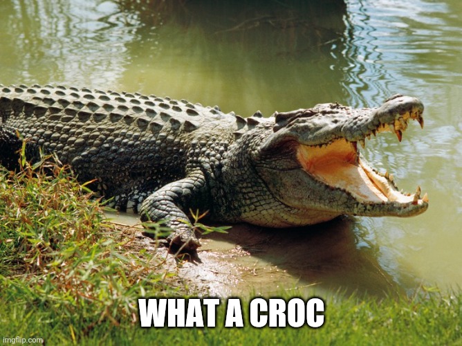 WHAT A CROC | made w/ Imgflip meme maker