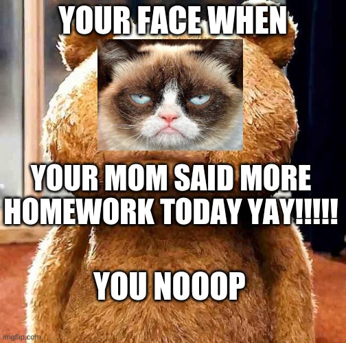 your face when | YOUR FACE WHEN; YOUR MOM SAID MORE HOMEWORK TODAY YAY!!!!! YOU NOOOP | image tagged in your face when | made w/ Imgflip meme maker