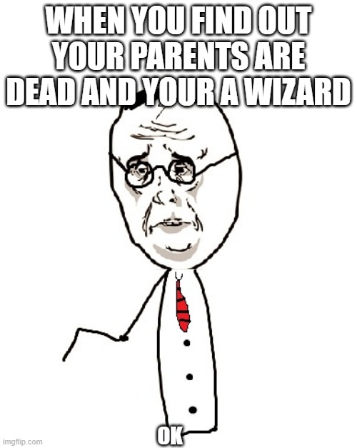 Harry Potter Ok | WHEN YOU FIND OUT YOUR PARENTS ARE DEAD AND YOUR A WIZARD; OK | image tagged in memes,harry potter ok | made w/ Imgflip meme maker