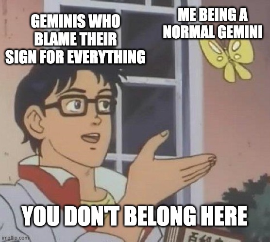 The rule of the Geminis *dead*? | ME BEING A NORMAL GEMINI; GEMINIS WHO BLAME THEIR SIGN FOR EVERYTHING; YOU DON'T BELONG HERE | image tagged in memes | made w/ Imgflip meme maker