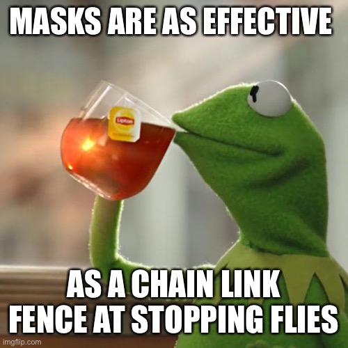 But That's None Of My Business Meme | MASKS ARE AS EFFECTIVE AS A CHAIN LINK FENCE AT STOPPING FLIES | image tagged in memes,but that's none of my business,kermit the frog | made w/ Imgflip meme maker