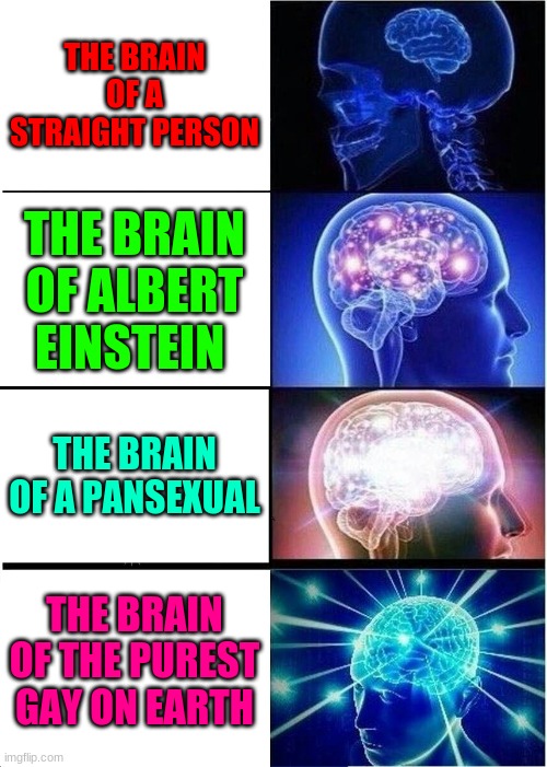 The LGBTG brains | THE BRAIN OF A STRAIGHT PERSON; THE BRAIN OF ALBERT EINSTEIN; THE BRAIN OF A PANSEXUAL; THE BRAIN OF THE PUREST GAY ON EARTH | image tagged in memes,expanding brain | made w/ Imgflip meme maker