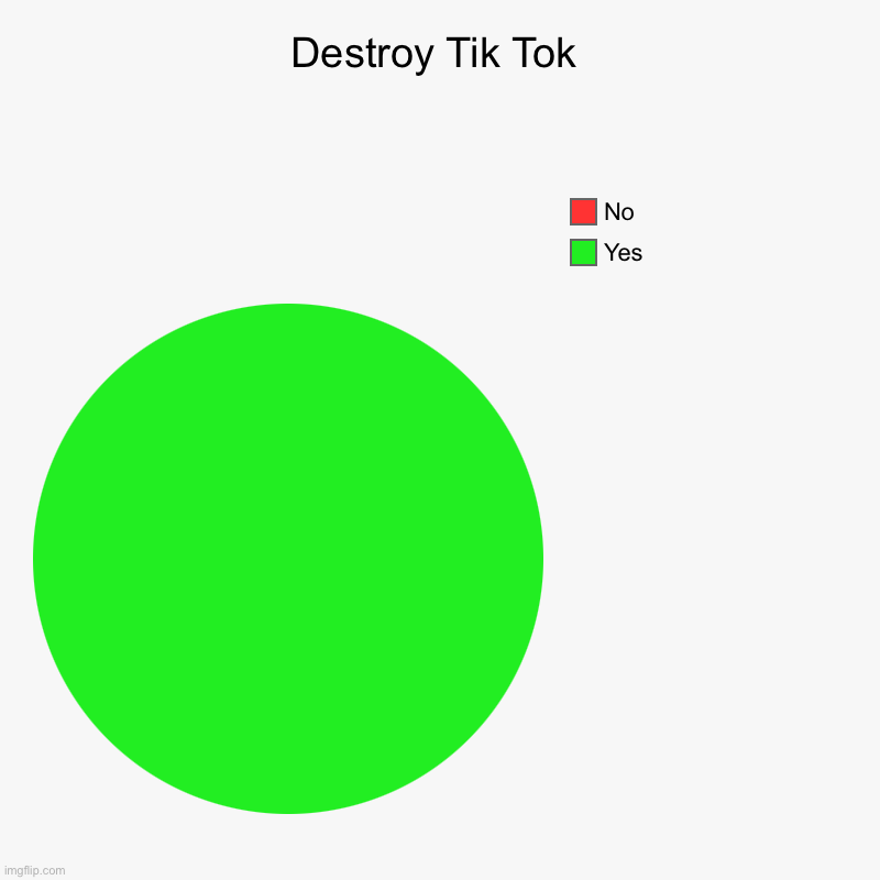 Destroy Tik Tok | Yes, No | image tagged in charts,pie charts | made w/ Imgflip chart maker