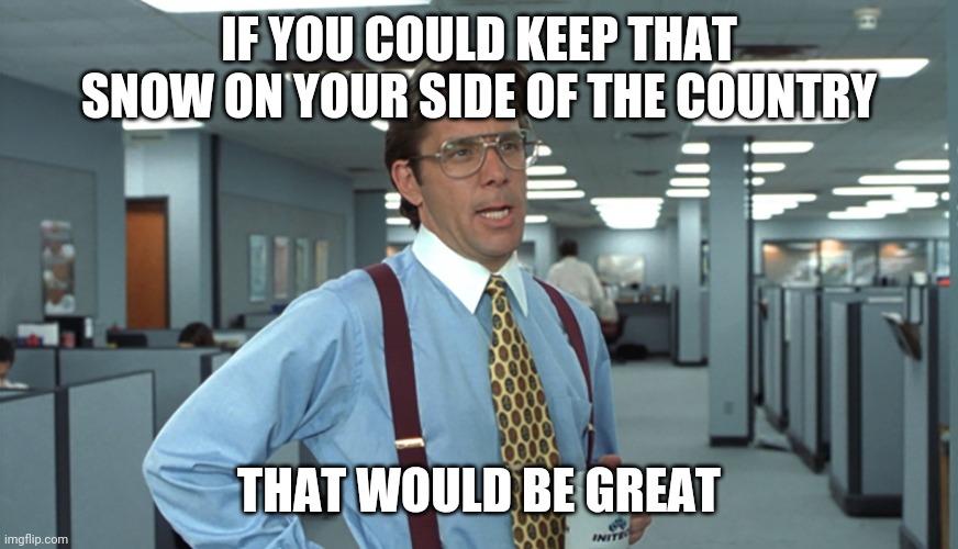 Snow | IF YOU COULD KEEP THAT SNOW ON YOUR SIDE OF THE COUNTRY; THAT WOULD BE GREAT | image tagged in snow | made w/ Imgflip meme maker
