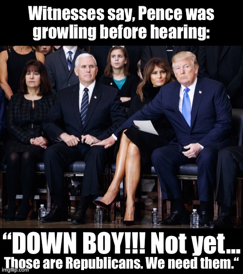 SIT!!! Stayyy... Good Boy. | Witnesses say, Pence was
growling before hearing:; “DOWN BOY!!! Not yet... Those are Republicans. We need them.“ | image tagged in mike pence,donald trump,republicans,joe biden,election 2020,dog memes | made w/ Imgflip meme maker