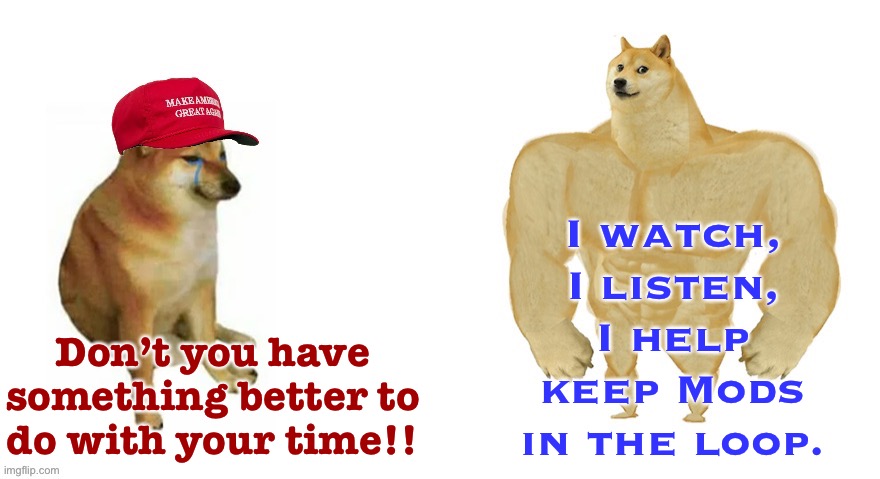 It takes about 30 seconds to report an issue lol | I watch, I listen, I help keep Mods in the loop. Don’t you have something better to do with your time!! | image tagged in cheems maga hat vs swole doge,imgflip mods | made w/ Imgflip meme maker