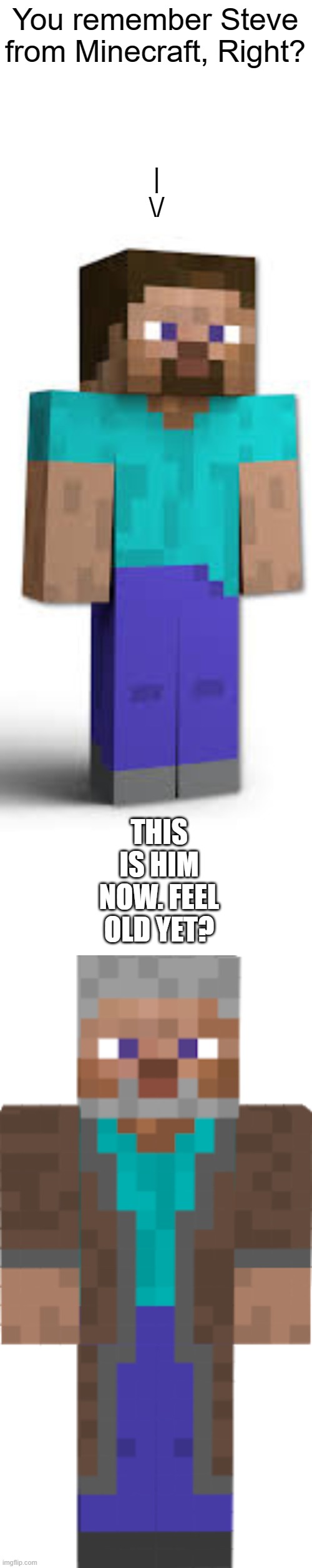 You remember Steve from Minecraft, Right? |
\/; THIS IS HIM NOW. FEEL OLD YET? | image tagged in blank white template,minecraft steve,old | made w/ Imgflip meme maker