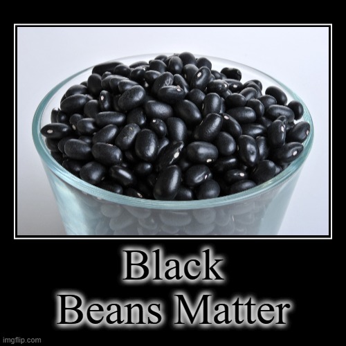 Black Beans Matter | image tagged in funny,demotivationals,black beans matter,all memes matter | made w/ Imgflip demotivational maker